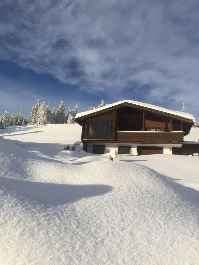 Вілла Chalet Alpenblick Монгуельфо Екстер'єр фото