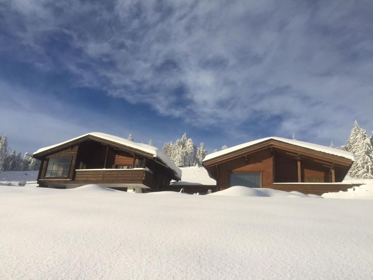 Вілла Chalet Alpenblick Монгуельфо Екстер'єр фото